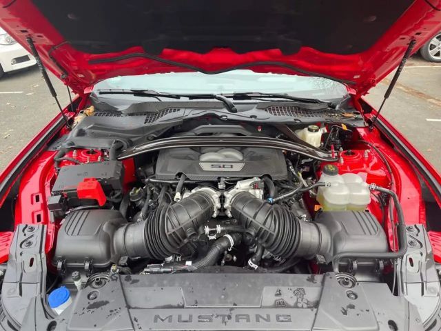 Ford Mustang Convertible GT 5.0 V8