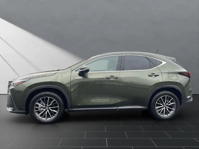 Lexus NX Executive Line