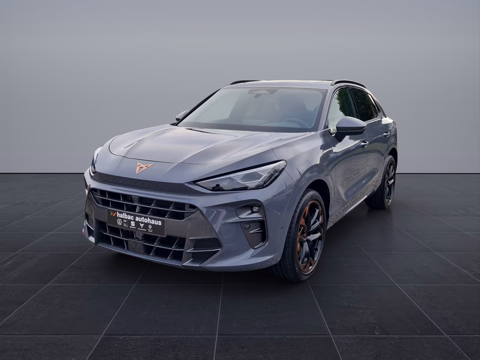 Cupra Terramar 2.0 TSI VZ