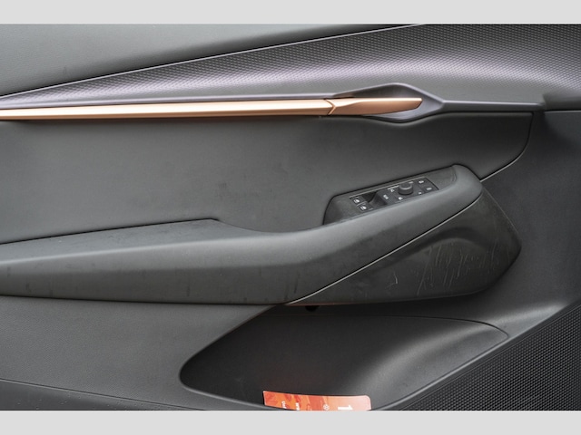 Cupra Tavascan Endurance