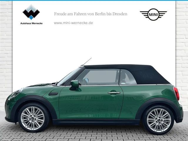 MINI Cooper Cabrio Cooper Cabrio DAB LED Komfortzg. Tempomat Shz