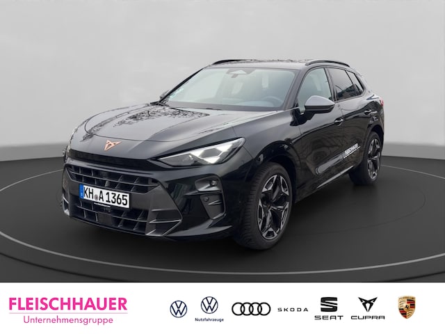 Cupra Terramar 2.0 TSI Performance