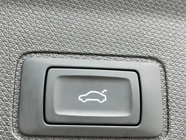 Cupra Terramar 2.0 TSI