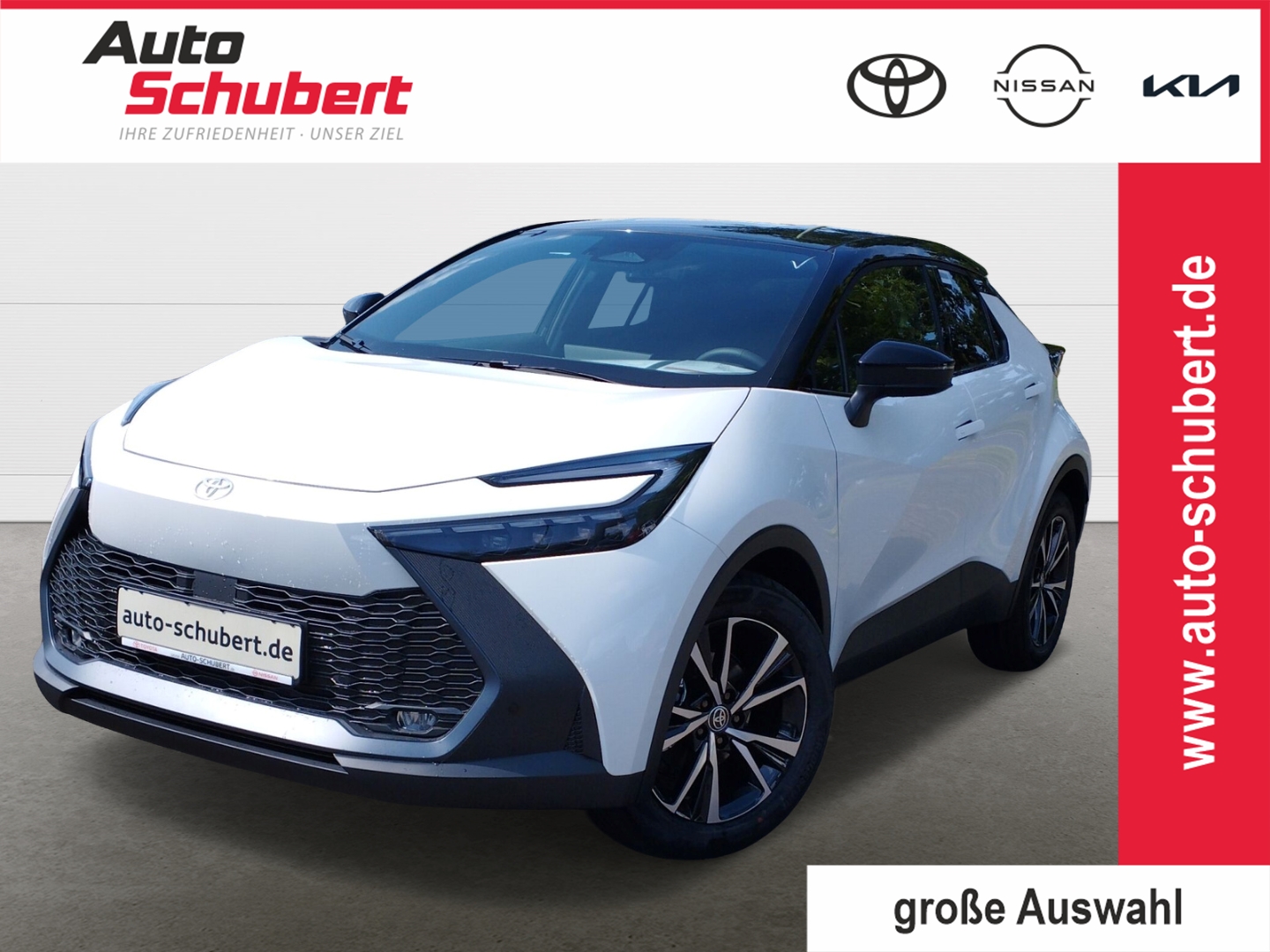 Toyota C-HR 5-deurs Team D Technik
