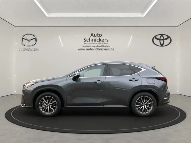 Lexus NX Executive Line