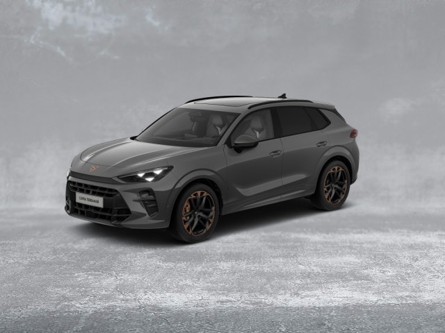 Cupra Terramar 2.0 TSI VZ