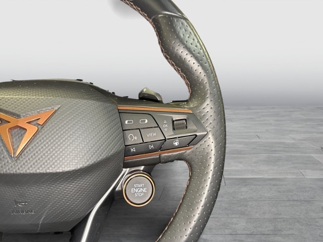 Cupra Formentor 2.0 TSI 4Drive DSG