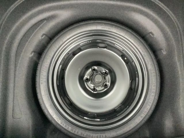 Volkswagen Golf Business Variant