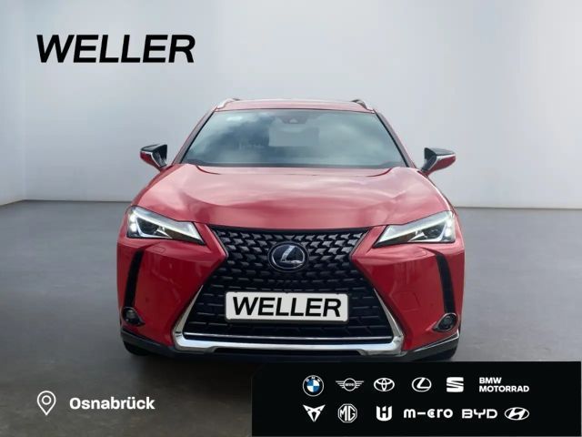 Lexus UX 250h Style Edition
