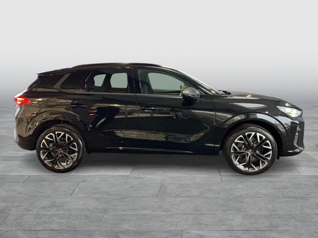 Cupra Terramar 2.0 TSI VZ