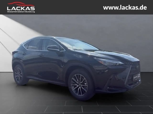 Lexus NX Executive Line