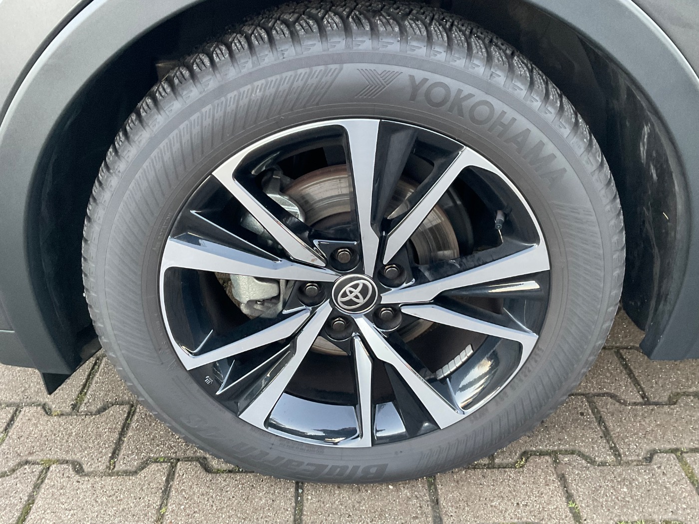 Toyota C-HR 5-deurs Team D