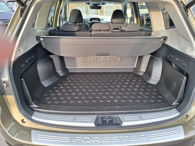 Subaru Forester Comfort