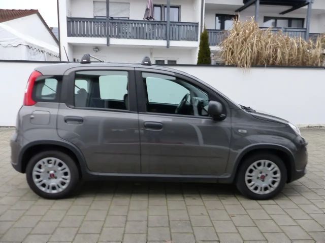 Fiat Panda 1.0 Mild-Hybrid Klimaanlage Bluetooth DAB