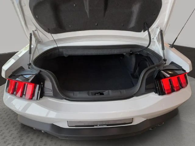 Ford Mustang GT 5.0 V8