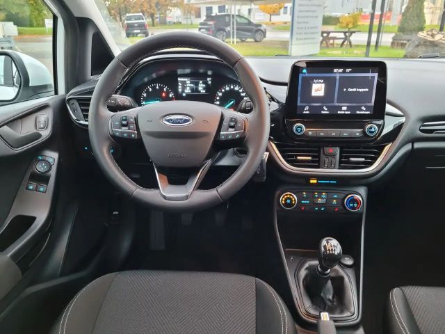 Ford Fiesta C&C *Winter-P.*