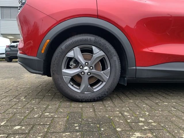 Ford Mustang Mach-E Basis Navi digitales Cockpit LED ACC Mehrzonenklim