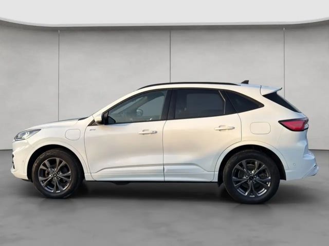 Ford Kuga Plug in Hybrid ST Line X