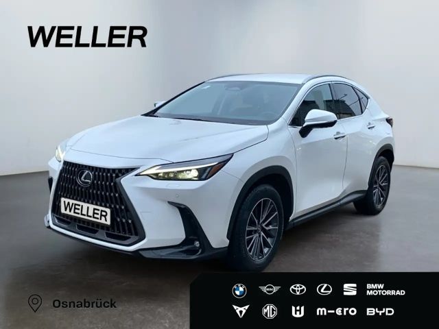 Lexus NX Executive Line