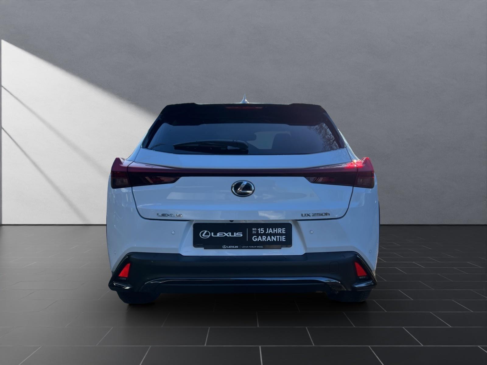 Lexus UX 250h F Sport Sport