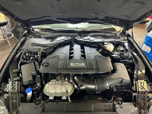 Ford Mustang Convertible GT 5.0 V8