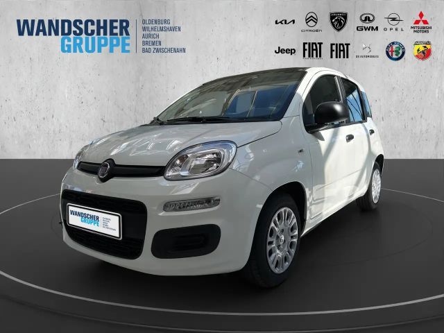 Fiat Panda MY25 Hybrid *PDC*Tempomat*Isofix*