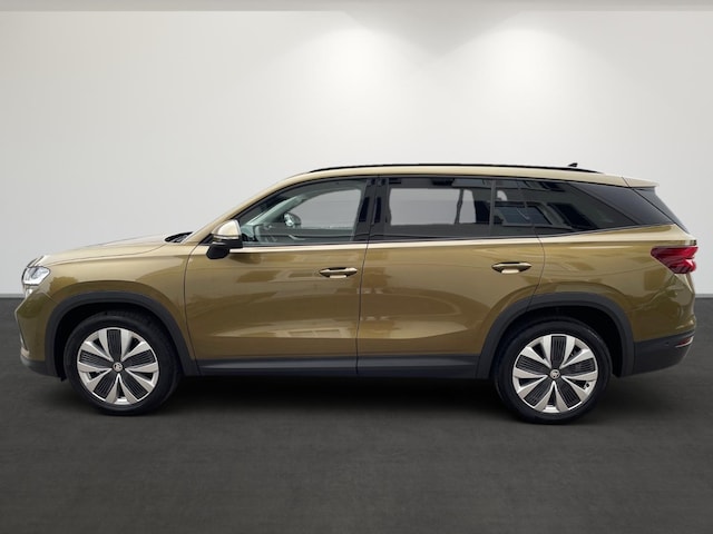 Skoda Kodiaq 2.0 TDI 4x4