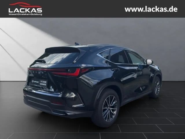 Lexus NX Executive Line