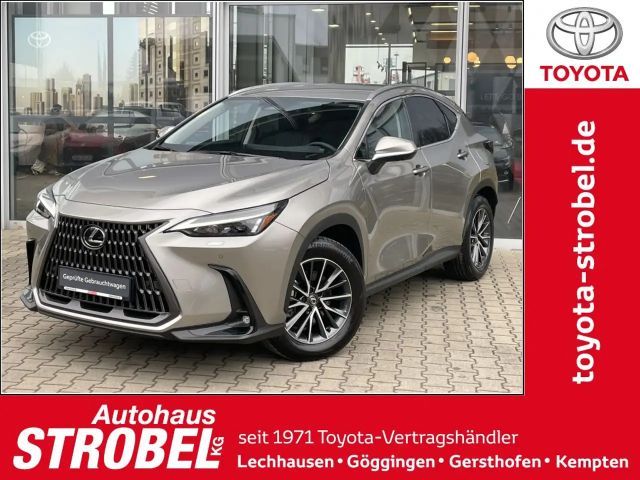 Lexus NX Executive Line