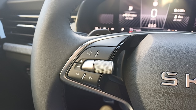 Skoda Kamiq ANSCHLUSSGARANTIE, KAMERA, AHK