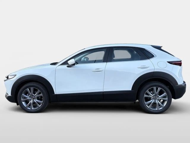 Mazda CX-30 2.5L SkyActiv e-Skyactiv