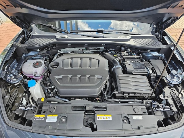 Cupra Formentor 2.0 TSI VZ