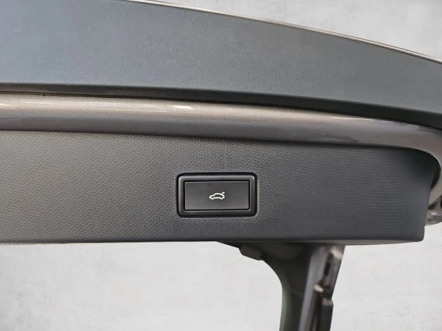 Cupra Tavascan Endurance