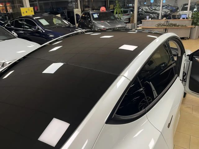 Tesla Model Y AWD Dual Motor Performance