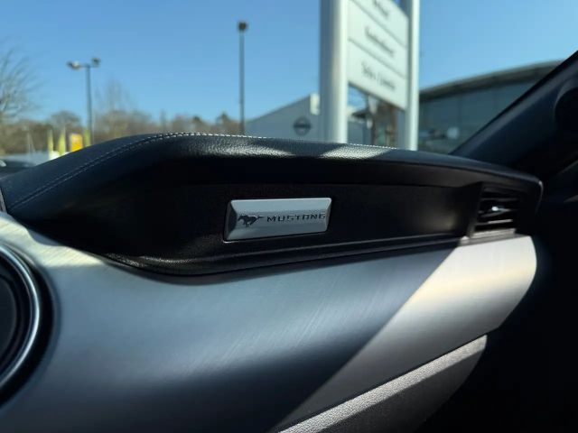 Ford Mustang Convertible GT 5.0 V8