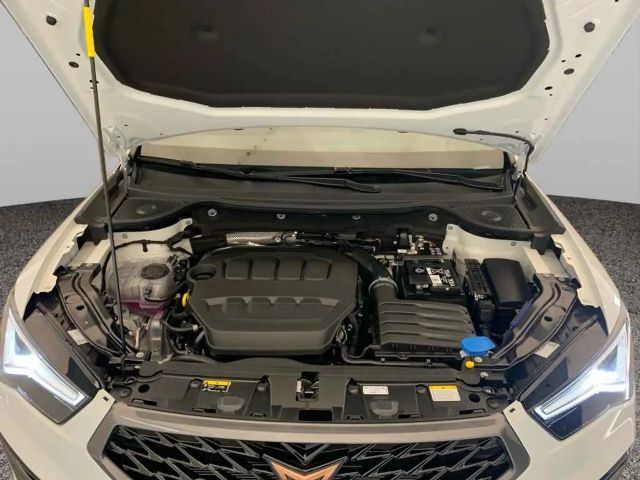 Cupra Ateca 2.0 TSI DSG