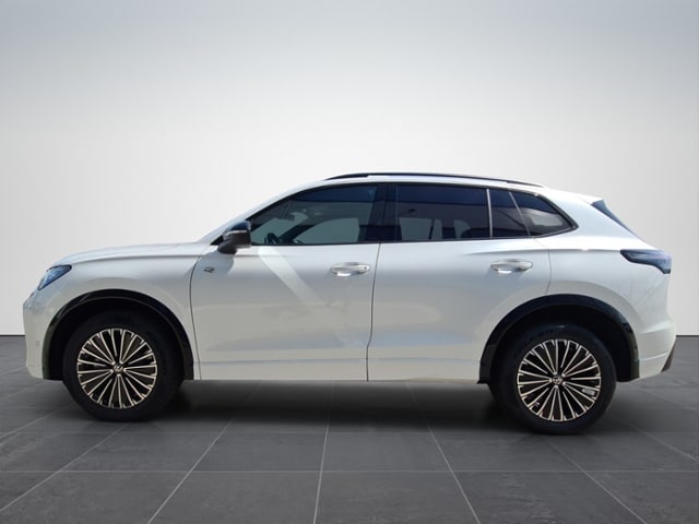 Volkswagen Tiguan 2.0 TDI DSG 4Mo R-Line+MATRIX+AHK+NAVI+WR+PANOD+STANDHEIZ