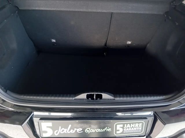 Citroën C3 C-Series