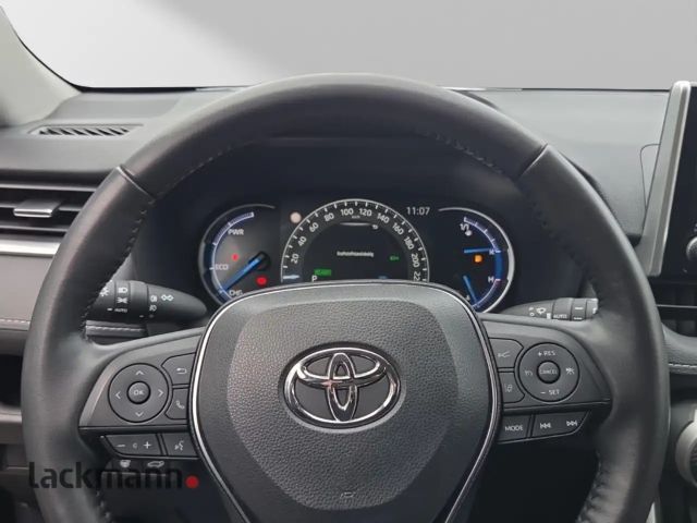 Toyota RAV4 Hybride Team D