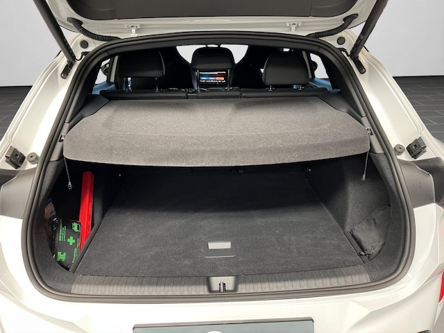 Cupra Terramar 2.0 TSI VZ