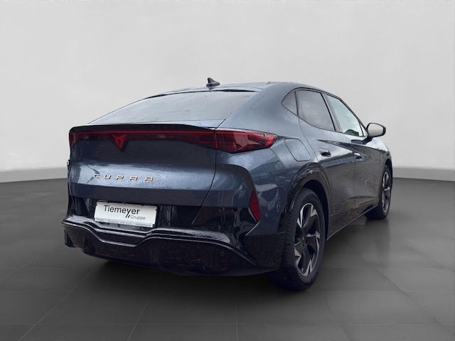 Cupra Tavascan Tavascan EDGE SIDE-ASSIST W-PUMPE MATRIX PARKLENK LM19