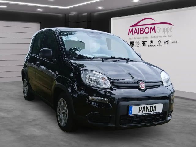 Fiat Panda Pandina 1.0 GSE