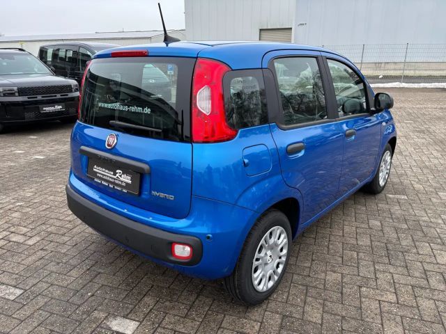 Fiat Panda Icon