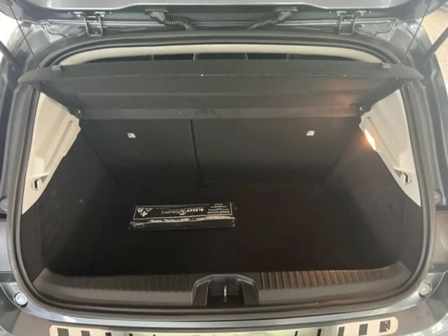 Renault Clio Experience