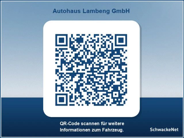 Toyota C-HR Hybride Team D