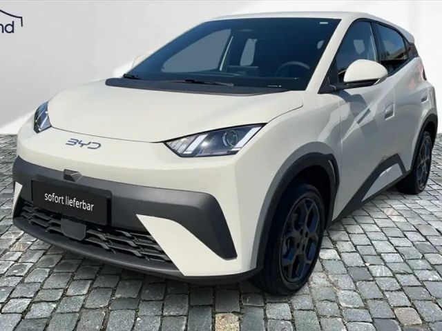 BYD Dolphin Surf Boost