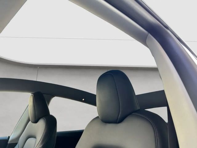 Tesla Model Y AWD Dual Motor Performance