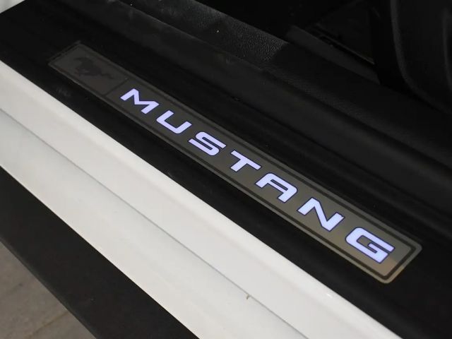 Ford Mustang Convertible GT 5.0 V8