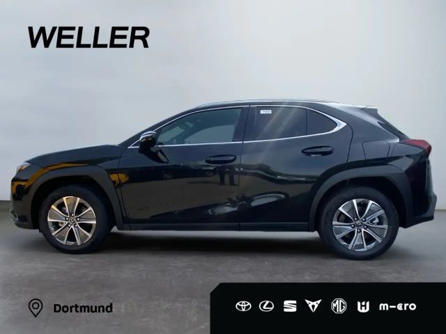 Lexus UX Executive Line