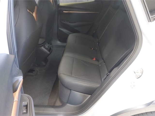 Cupra Tavascan 4Drive VZ